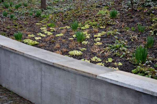 Concrete Wall Construction in Fairfield