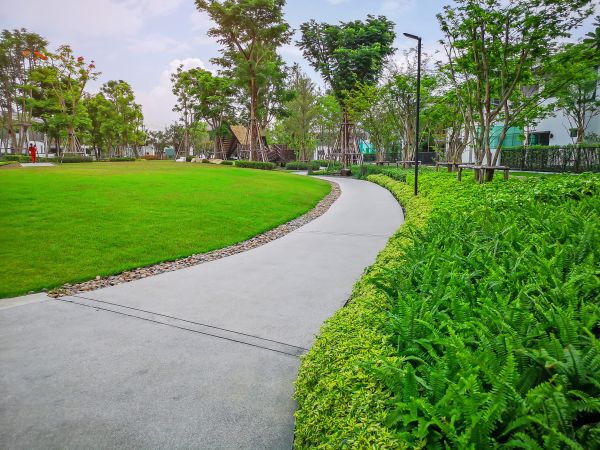 Cement Walkway Service in Fairfield