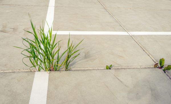 Concrete Parking Installation in Fairfield